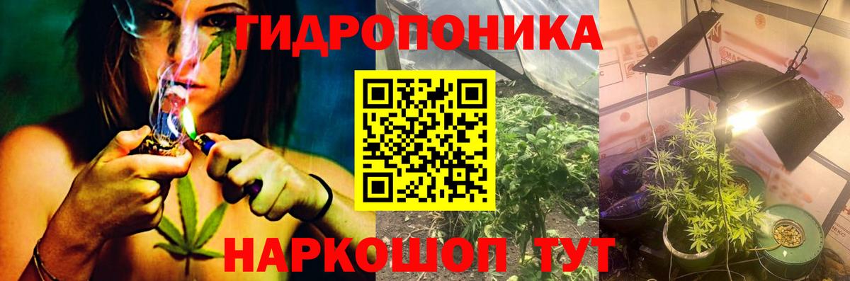 Омск  Бошки Шишки AK-47  Вход с VPN  Марихуана Bruce Banner  Шишки марихуана VHQ 